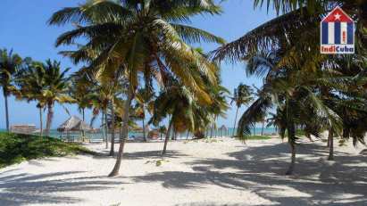 Las mejores playas de Cuba - Playa Santa Lucía - Camagüey