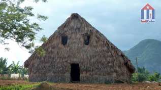 Hier wird der Tabak gelagert - Casa de Tabaco Vinales Sehenswürdigkeiten: Casa de Tabaco - Scheune zur Tabak-Lagerung