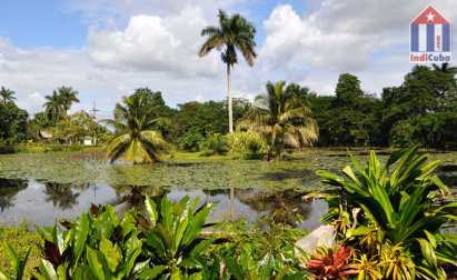 Cuba Artemisa & Mayabeque