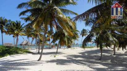 Beach in Camaguey - "Playa Santa Lucia" Best beaches in Cuba - Playa Santa Lucia - Camaguey