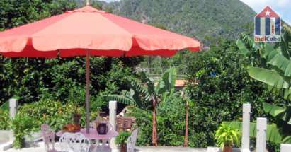 Jardín detrás de la casa