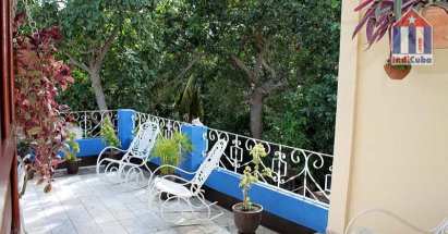 La terraza está rodeada de muchos árboles. ¡Atmósfera relajante!
