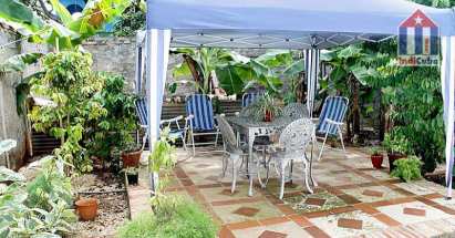 Verde exuberante en el patio del albergue. Muchas plantas tropicales - también el café