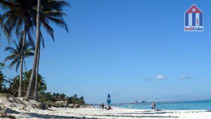 Varadero beach with palms