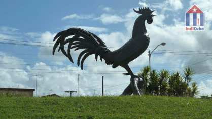 Morón - esculptura de un gallo