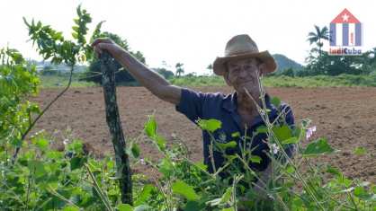 Farmer in Pinar del Rio