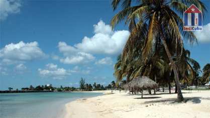 Playa Girón con palmeras