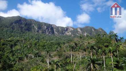 Top sights Baracoa - El Yunque mountain