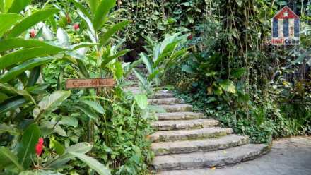 Cueva del Indio Cave - sight seeing in Cuba Vinales